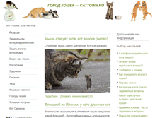Tablet Screenshot of cattown.ru